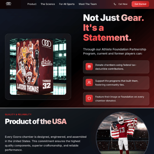Website showcase 1