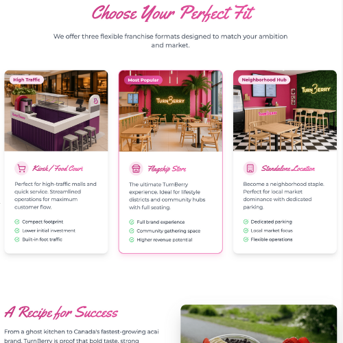 Website showcase 4